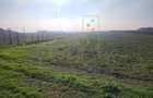 Teren agricol in intravilanul comunei Sacalaz. - 4