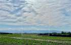 Teren de vanzare - Intravilan, 600 mp, cu utilitati - Sura Mica - 1