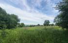 Teren Intravilan - 4800 mp | Dumbrava Minunata | Falticeni - 1