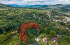 Teren 3.886 mp, Breaza - Podu Vadului, 30 m deschidere la asfalt - 1