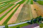 TEREN extravilan- 6 E/MP- CU PLANTATIE DE TRANDAFIRI! Teliu 7000mp - 2