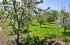 Casă P+1 cu teren de 1.769 mp, aproape de Titu – Săvești, Braniștea, Dâmbovița - 5