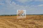 Teren intravilan– 50.000 mp, Bacău, Șoseaua Hol - 8