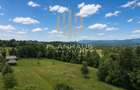 Teren 49 ari ,Rus,  15 min de Baia Mare,ideal casa - 4