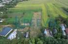 Teren intravilan 4.000 mp Blăgești, Bacău - 2