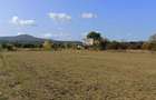Teren 1.23 ha | DN17 | Șieu-Măgheruș - 2