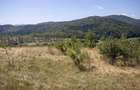 Comision0% Teren recreational 4200mp Vulcan Brasov- curent-asfalt - 11