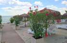 Apartament 3 camere - 5