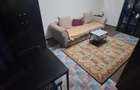 Garsoniera, Tineretului petfriendly