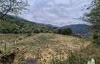 Teren intravilan pentru investitie turistica, 4000 mp, langa Club Vila Bran cu p - 4