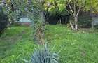 ULTRACENTRAL - teren  514 mp, 2 deschideri - 290000 euro - 3