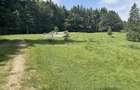 PREDEAL - Teren intravilan 6,000 m² -Poiana Secuilor - 8