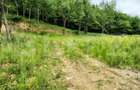 Teren zona de munte 1800 mp, cu apa de izvor, la Somesu Rece - 1