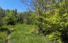 Teren intravilan/934 mp/Lenin Sud - 1