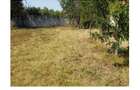 PARTICULAR  INTRAVILAN 1000/500 MP TOATE UTILITATILE IDEAL PT CASA/INVESTITIE - 1