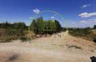 Teren intravilan de vanzare, 3.500 mp, cu front stradal de 21,5 ml - 2