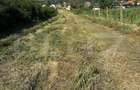 Teren 2280 mp, zona Balesti - 2