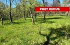 Teren intravilan, Comuna Corbi, Jud. Argeș, toarte utilitatile - 1