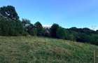 🏔️ TEREN INTRAVILAN DE VÂNZARE – BRAN | 9.085 MP | PRIVELIȘTE PANORAMICĂ | UTIL