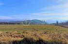 Teren intravilan, 1000 mp cu PUZ - locatie deosebita, Sibiu - Valea Avrigului - 4