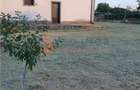 Casa tip P+M zona Zoresti - 4