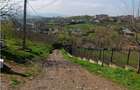 Ciurbesti zona Bisericii TEREN 7000mp intravilan cu utilitati acces si din sos d - 4