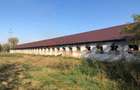 Ferma complet utilată – 30 ha teren comasat Timiș – Comuna Biled