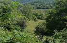 Teren 11230 m.p.  + Conac - necesita renovare - 3