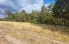 Teren 8000 mp in zona de munte - 4