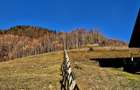 Teren de vânzare în sat Măgura/ Brasov– loc pentru familie, liniște și suflet - 23