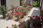 Casa din povesti, 5 camere, pe parter- zona Lipovei Timișoara - 3