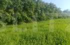 Teren intravilan de vanzare, 3700 mp, zona Braesti - 3