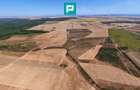 Teren intravilan agricol 558.500 mp Chevereșu Mare - 4