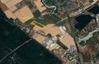BUFTEA  TEREN 79,500 mp Strada Milano - 4