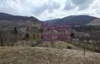 Teren intravilan de vanzare in Valea Doftanei - 2