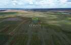 Teren  Intravilan - Giurgiu || Comuna Bulbucata -  15,4 Ha