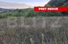 Teren extravilan, 5.100 mp, zona Livezeni