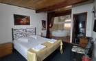 REC3001760 Hotel investitie de vanzare Domnesti
