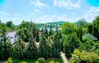 Proprietate unică pe malul lacului Moacșa – liniște, rafinament, eleganta - 38