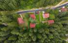 Casa 5 camere | viata la marginea padurii, intre brazi si liniste - 29