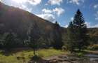 Teren intravilan ideal si de investitie, in Loc. Resita, strada Ciresului - 2