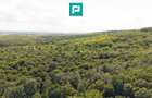 TEREN AGRICOL EXTRAVILAN  22.900 MP LIPOVA - 4