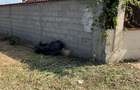 Teren intravilan Albești, Dolj - 1