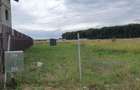 TEREN CONSTRUCTII-INTRAVILLAN-SUPERB-SNAGOV-PADURE-UTILITATI-PROIECT - 8
