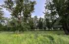 Teren parțial intravilan 23.500 mp, apă, curent și supraveghere video, Bucovăț - 4