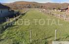 Teren 5400 mp , Stalpeni , sat Radesti - 1