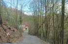 Domeniu de 7 ha in Apuseni - Criscior, Hunedoara - 7