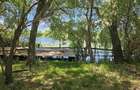 OCAZIE CORBEANCA 1.767 mp FIX LA LAC Deschidere 16m Ponton Toate utilitățatille - 4