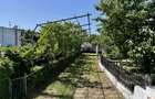 Vila Manastirea Snagov - 2