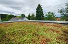 De închiriat | Proprietate premium | ~470–500 mp | Zona Grădina Botanică - 19